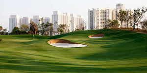 DLF India